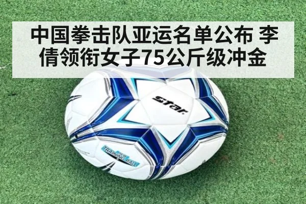 中国拳击队亚运名单公布 李倩领衔女子75公斤级冲金